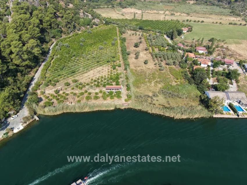 Feld Zu verkaufen in Çandır Bz. Köyceğiz - Feld-Zonierung - 20.000 m²