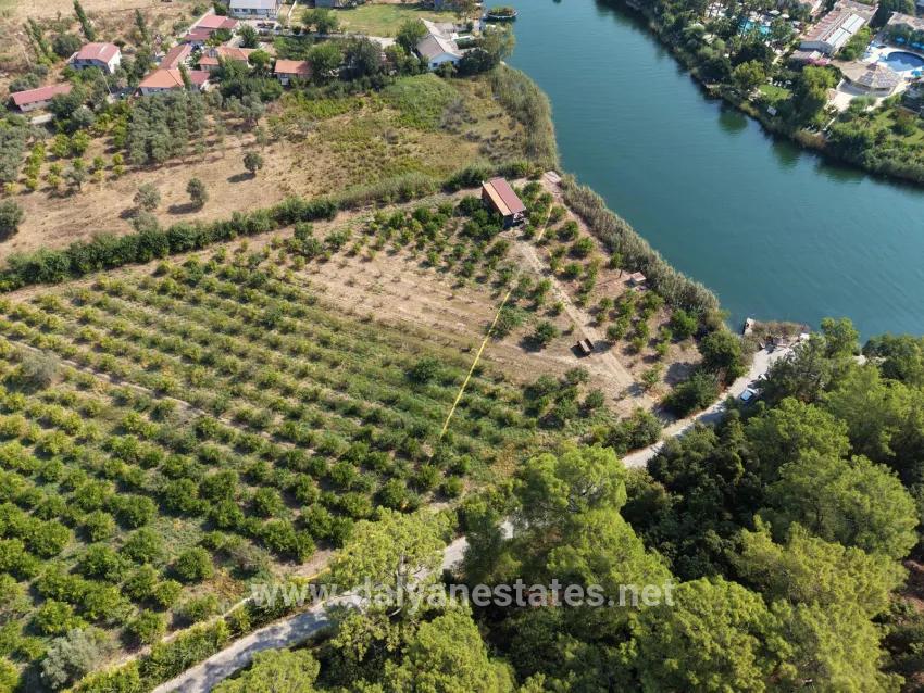 Feld Zu verkaufen in Çandır Bz. Köyceğiz - Feld-Zonierung - 20.000 m²