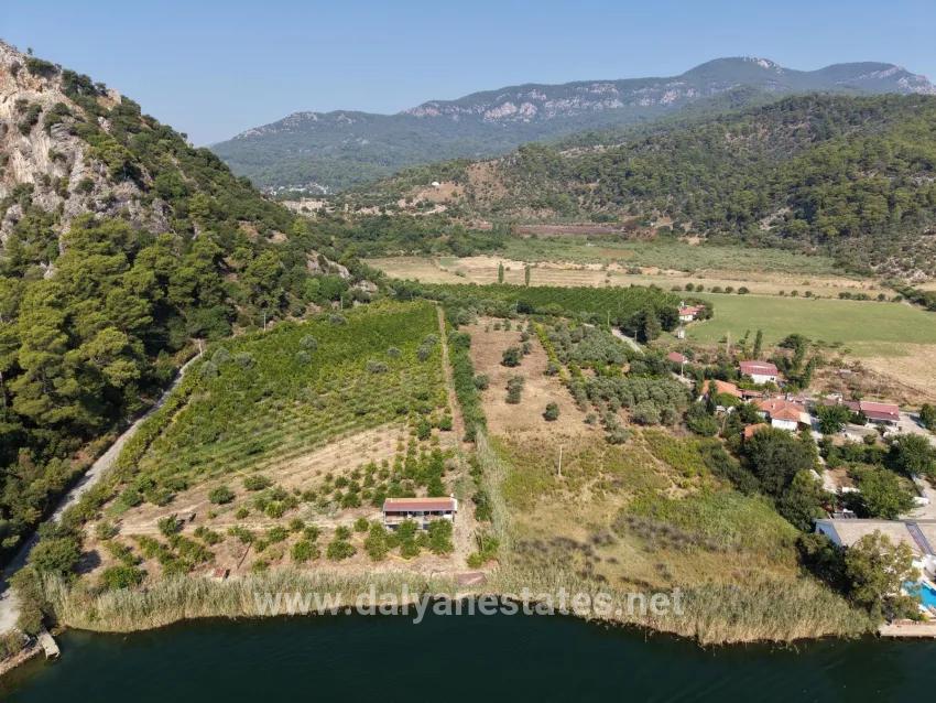 Feld Zu verkaufen in Çandır Bz. Köyceğiz - Feld-Zonierung - 20.000 m²