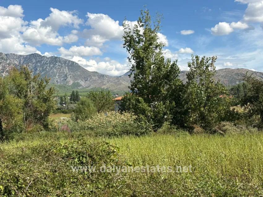 Feld Zu verkaufen in Zeytinalanı Bz. Köyceğiz - Feld-Zonierung - 10.500 m²