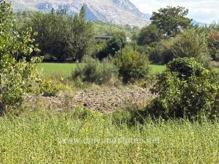Feld Zu verkaufen in Zeytinalanı Bz. Köyceğiz - Feld-Zonierung - 10.500 m²