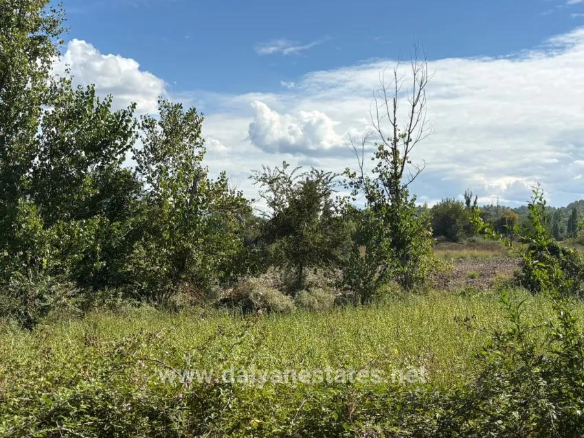 Feld Zu verkaufen in Zeytinalanı Bz. Köyceğiz - Feld-Zonierung - 10.500 m²
