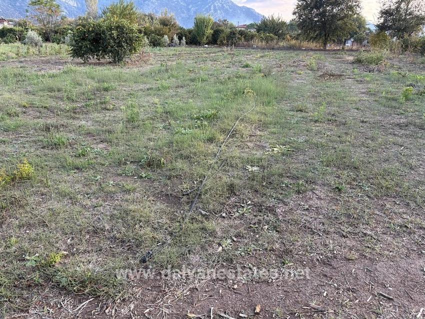 7.450 M² Großes Grundstück In Dalyan Mit 5%iger Zonierung Zu Verkaufen.