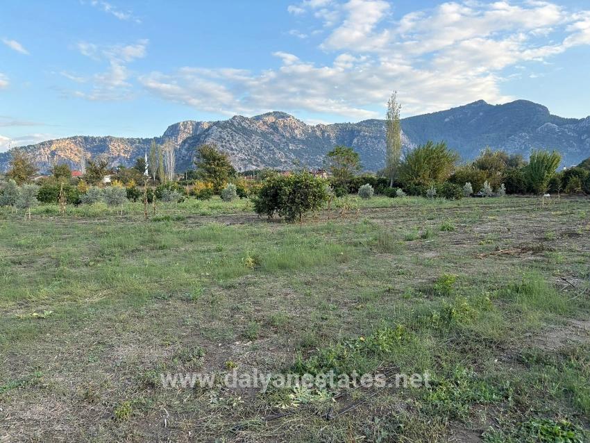 7.450 M² Großes Grundstück In Dalyan Mit 5%iger Zonierung Zu Verkaufen.