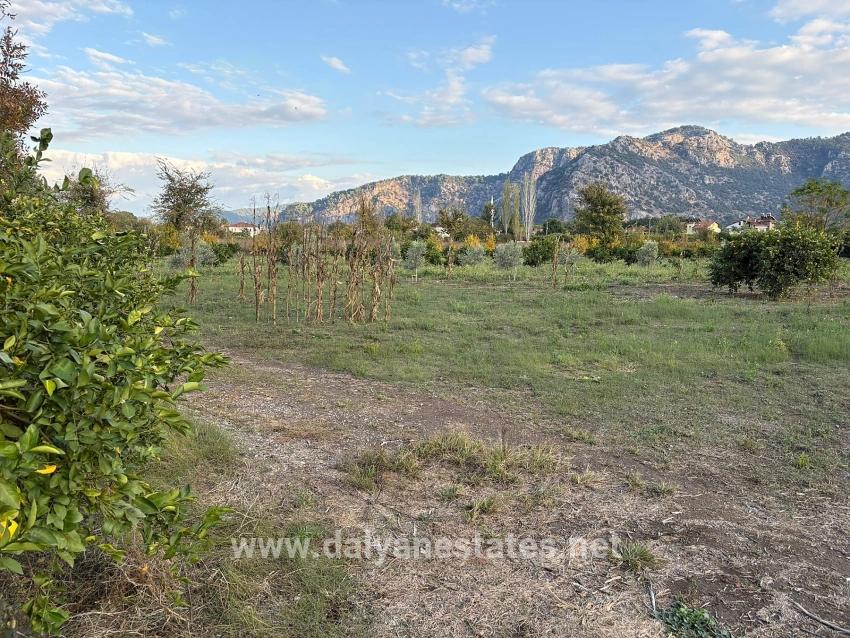 7.450 M² Großes Grundstück In Dalyan Mit 5%iger Zonierung Zu Verkaufen.