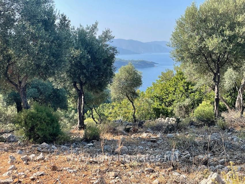Schnäppchengrundstück Zum Verkauf Mit Meerblick In Der Gegend Von Ekincik-çandır.