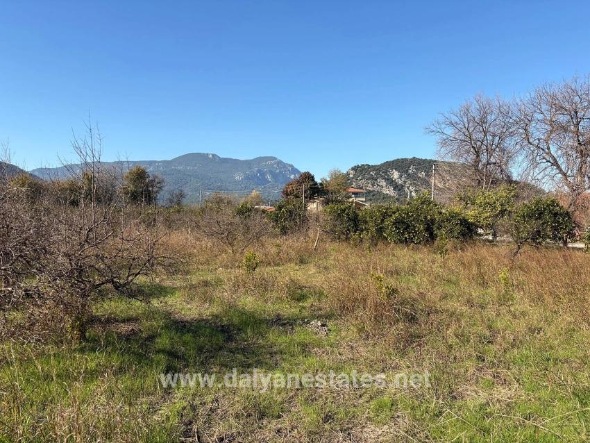 4.541 M² Großer Garten Zum Verkauf In Dalyan.