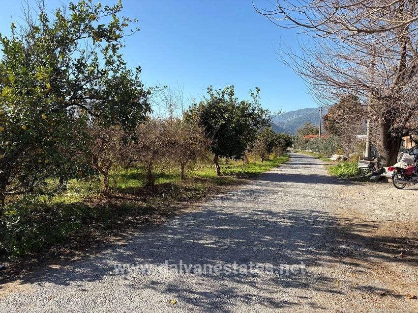 4.541 M² Großer Garten Zum Verkauf In Dalyan.