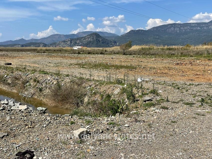 19.600 M² Großes Grundstück Zum Verkauf, Direkt An Der Straße Dalyan Iztuzu Beach Gelegen.