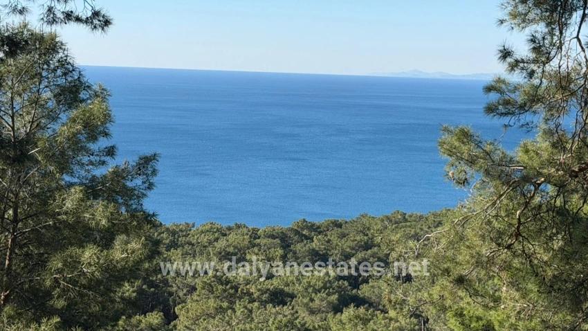 2b-feld Von 5715 M2 Zum Verkauf Mit Vollem Meerblick In Çandır