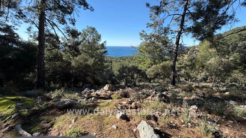 2b-feld Von 5715 M2 Zum Verkauf Mit Vollem Meerblick In Çandır