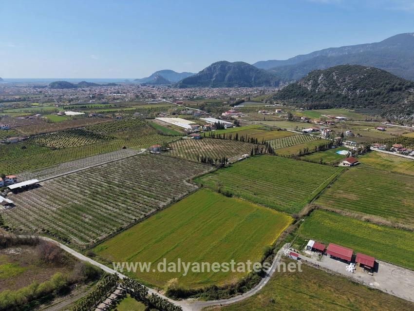 17.550 M2 Weinberg-bahce Zum Verkauf In Der Nähe Des Dalyan Centers