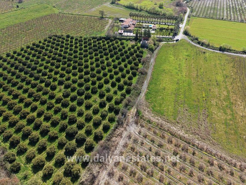 17.550 M2 Weinberg-bahce Zum Verkauf In Der Nähe Des Dalyan Centers