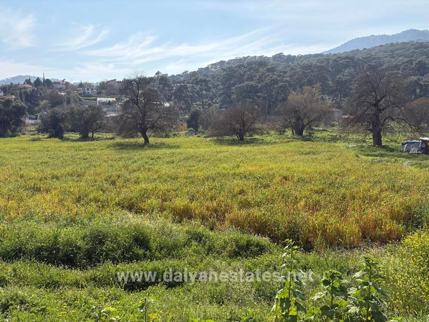 2.023 M² Großes Grundstück In Çandır Village, Köyceğiz, Zu Verkaufen, Mit Miteigentum Und Freiwilliger Aufteilung.