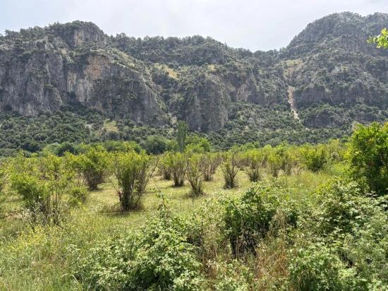 2100 M2 Großes Grundstück Zum Verkauf In Okçular Marmaris.