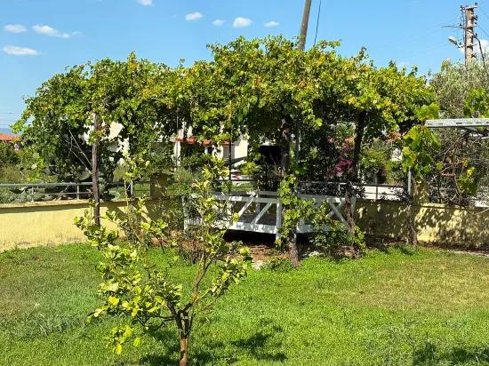 Dalyan Gülpınar 1000m2 Grundstück Innerhalb 4+2 Zu Verkaufende Villa
