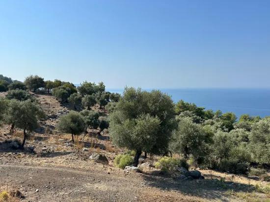 In Çandır mit Meerblick 21.000 m2 zu verkaufen 2b Feld
