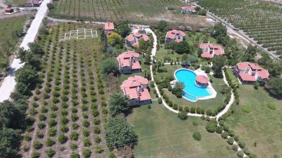 6000m2 Grundstück Zum Verkauf In Çandır, Köyceğiz
