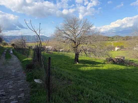 11.230 M² Großes Grundstück Mit Seeblick In Dalyan Zu Verkaufen.