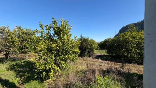 2.218m2 Grundstück Zum Verkauf In Okçular Marmarlı
