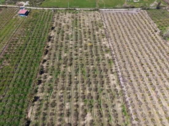 16.710 M² Granatapfelgarten Zum Verkauf Mit Seeblick In Eskiköy