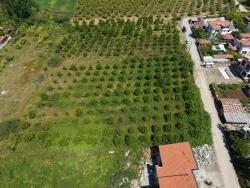 Land Zu verkaufen in Okçular Bz. Ortaca - Gehäuse-Zonierung - 1.050 m²