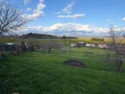 Feld Zu verkaufen in Dalyan Bz. Ortaca - Feld-Zonierung - 11.230 m²