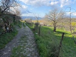 Feld Zu verkaufen in Dalyan Bz. Ortaca - Feld-Zonierung - 11.230 m²