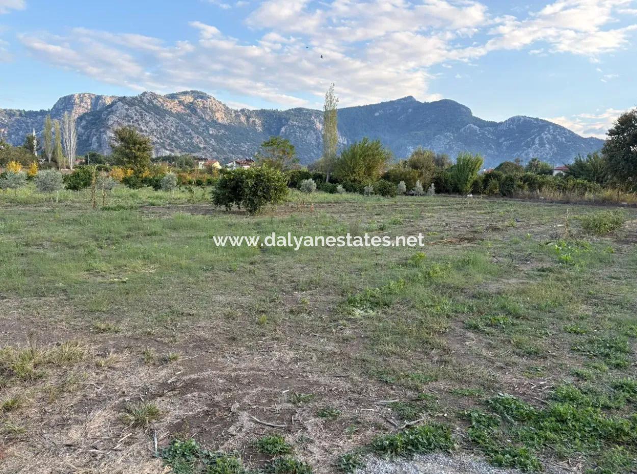 7.450M2 Land Zum Verkauf In Der Nähe Des Zentrums Von Dalyan
