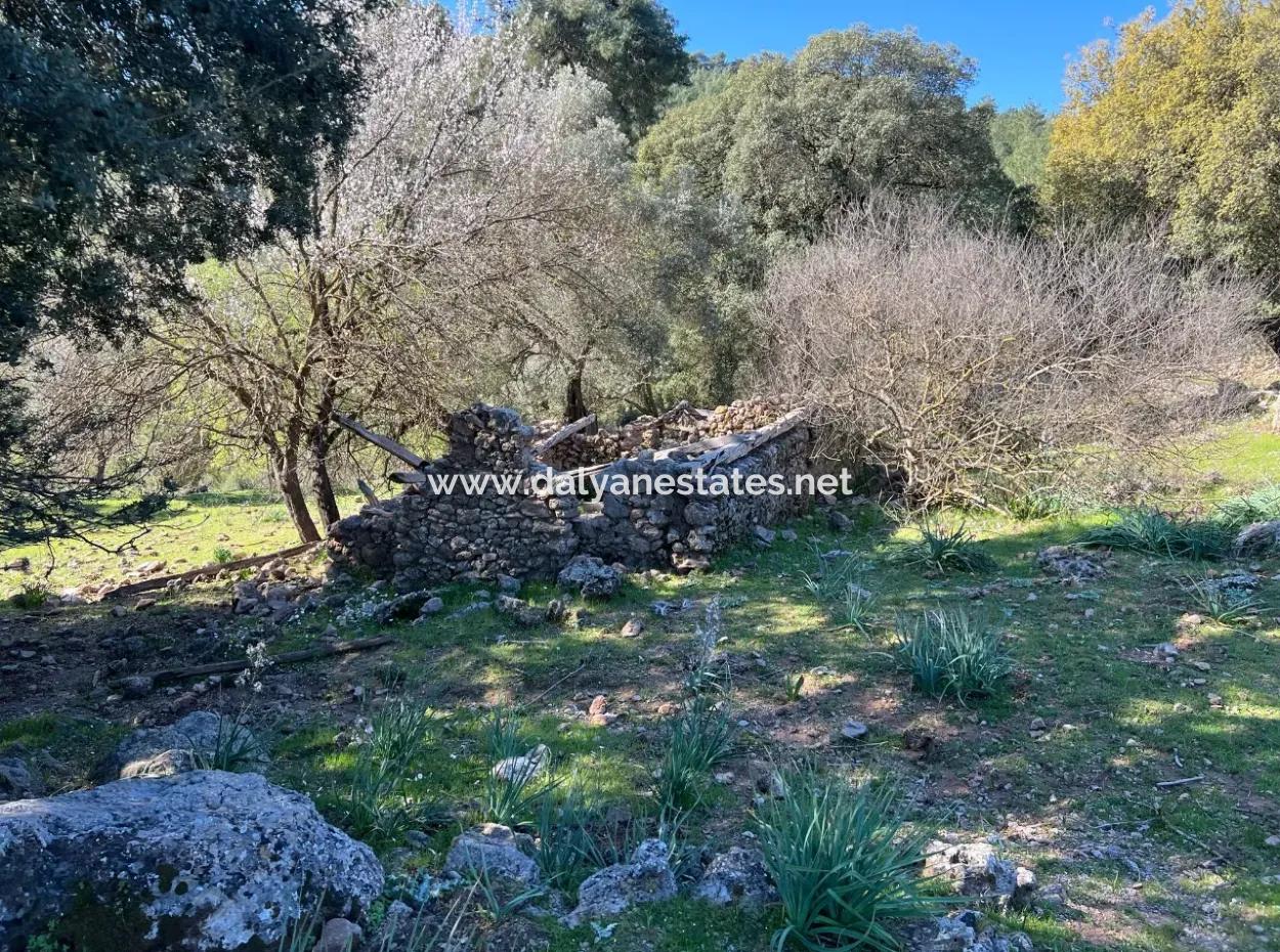 Grundstück Zum Verkauf In Natur Und Wald In Gökbel