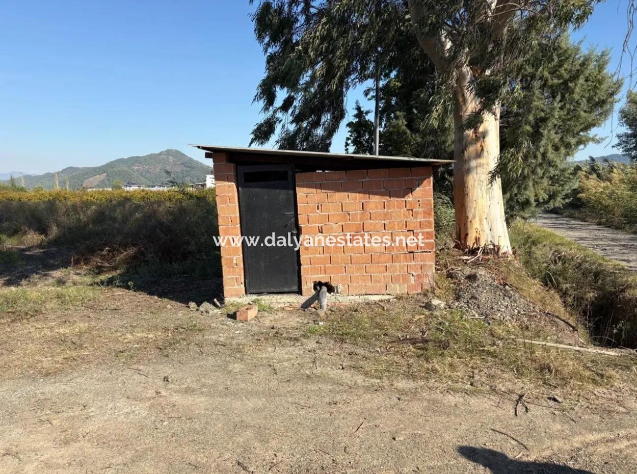 21500M2 Granatapfelgarten Zum Verkauf In Eskiköy