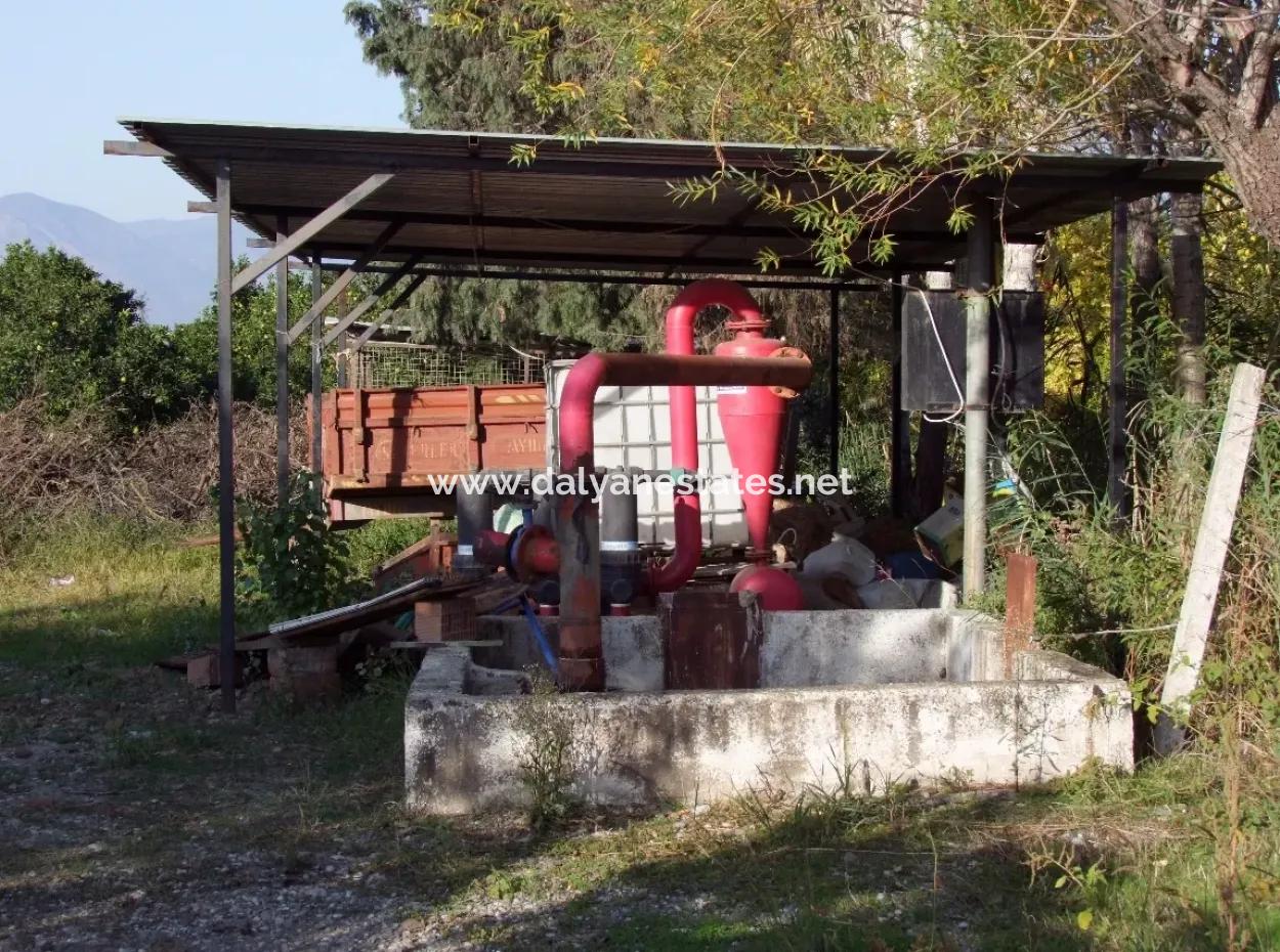Garten Zum Verkauf In Oriya Tepearasi Zwischen Der Peak 65,000M2 Orange Garten Zum Verkauf