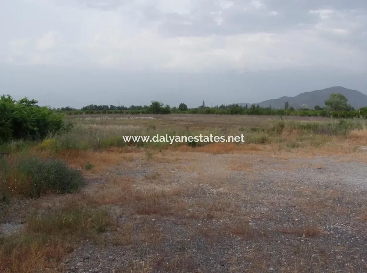 Kommerzielles Grundstück Für Verkauf In Dalyan, Dalyan Sie Auf Dem Highway 17,805M2 Grundstück Zum Verkauf Schnäppchen