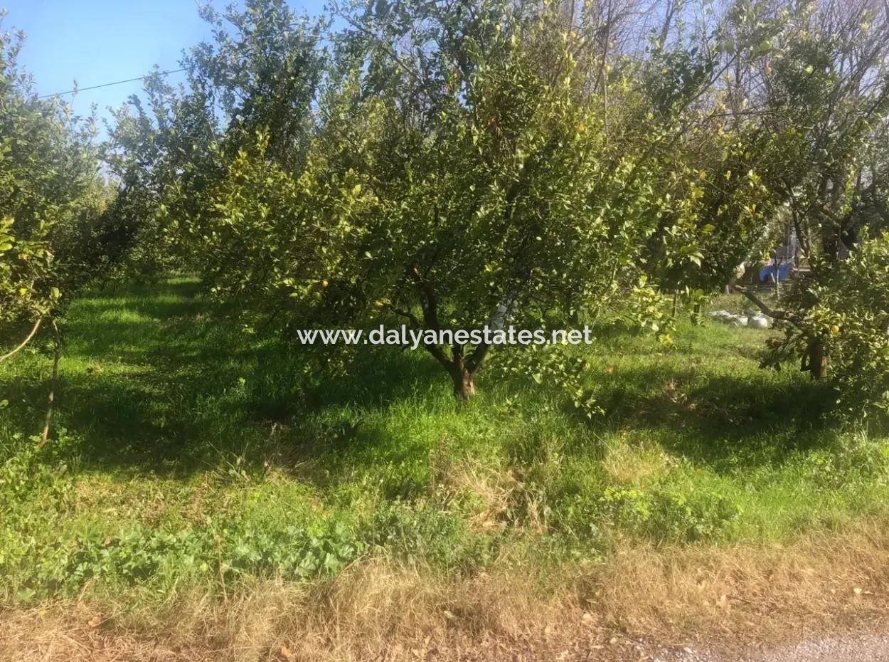 Raiders 803M2 Land Zum Verkauf In Plot Zum Verkauf