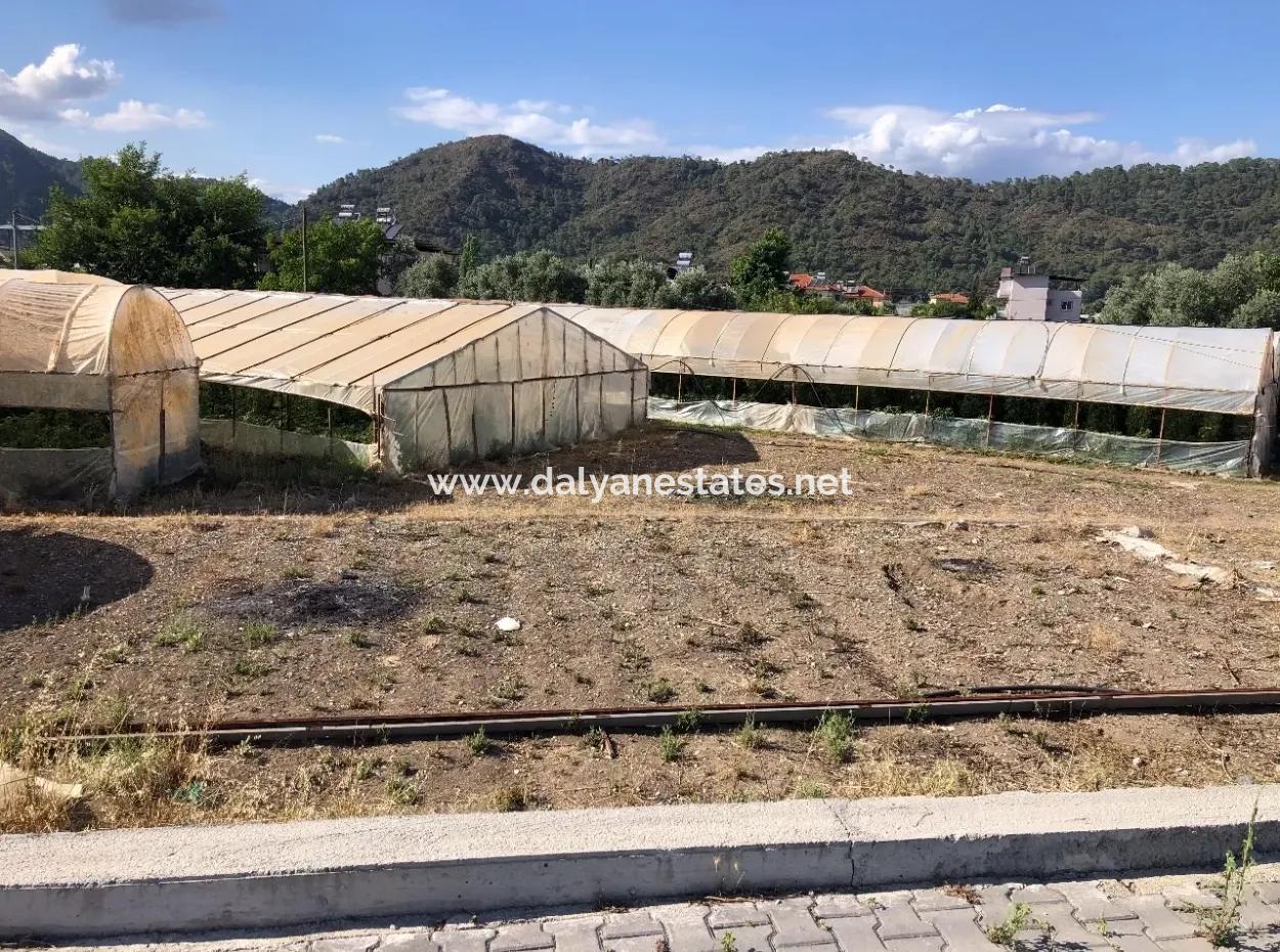 Oriya 560 560 Sq Ft Grundstück Zum Verkauf Gewerbeflächen Hauptstraße Zum Verkauf Eksiliyurt Null