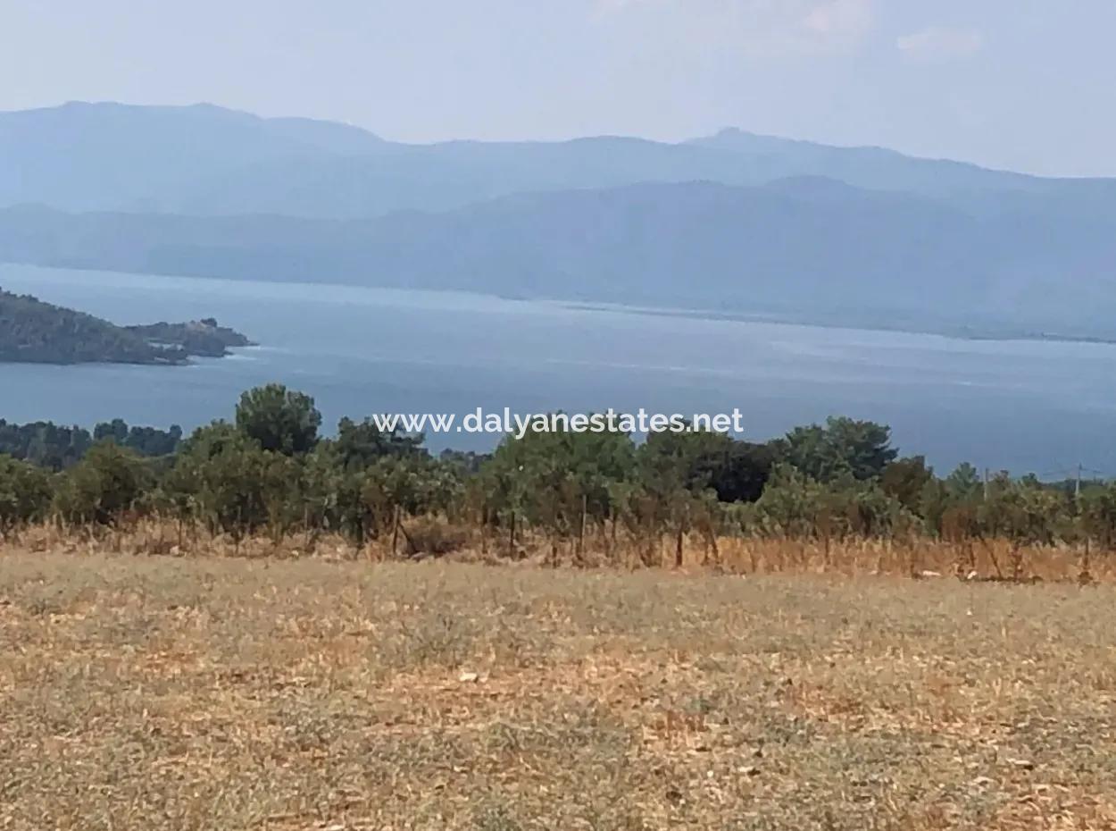 11.227M2 Grundstück Zum Verkauf Mit Seeblick In Köyceğiz Zeytinalan