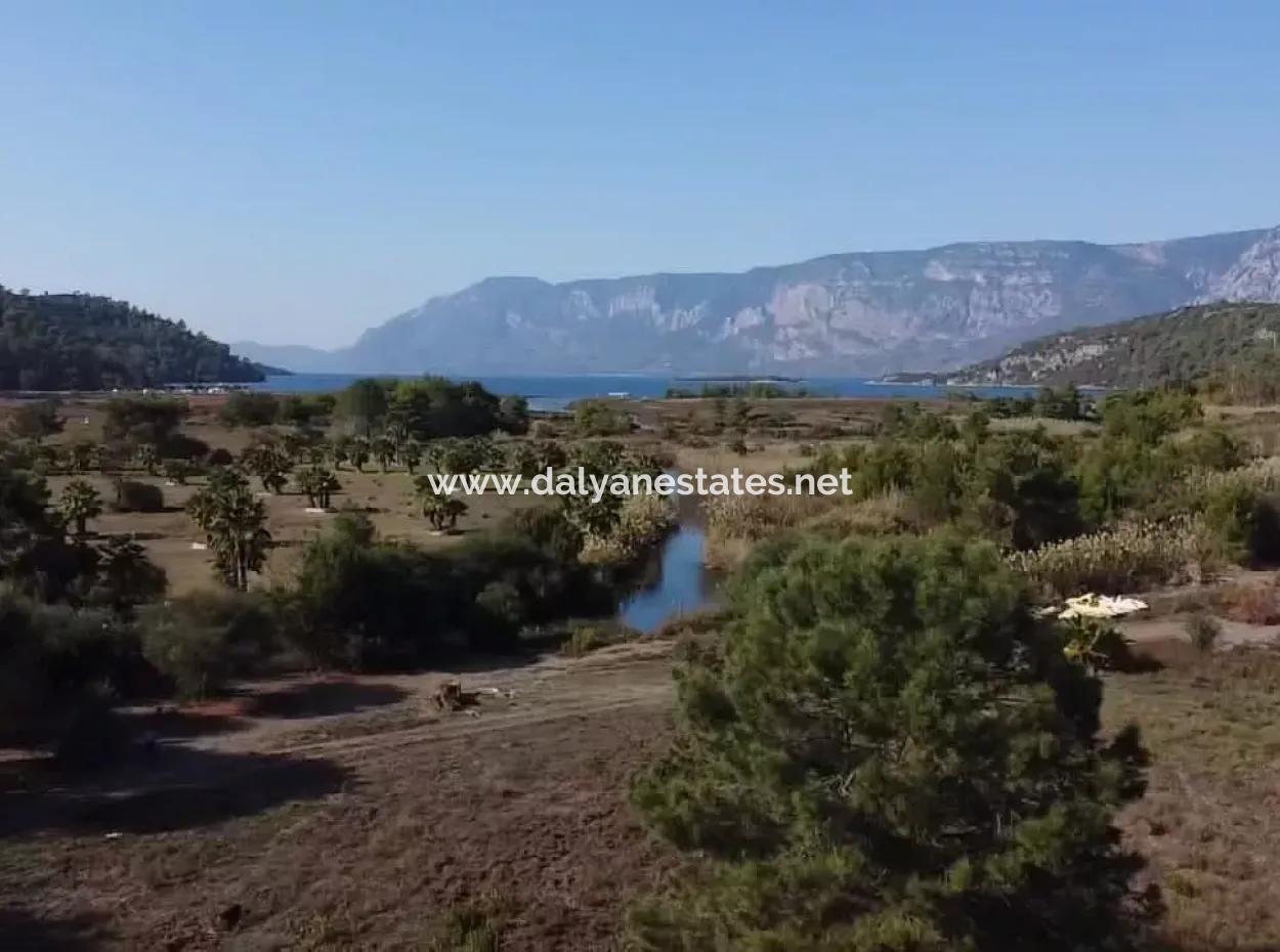 Land Zum Verkauf In 'Aml'da Marmaris 'Aml'da Meerblick 11720M2 Land Zu Verkaufen