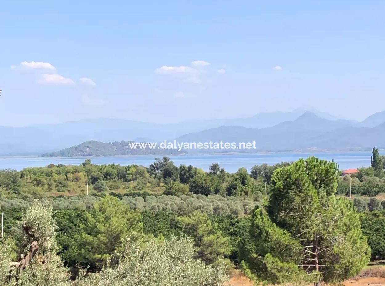 Sultaniye Land For Sale Near 10577M2 Lake Land For Sale