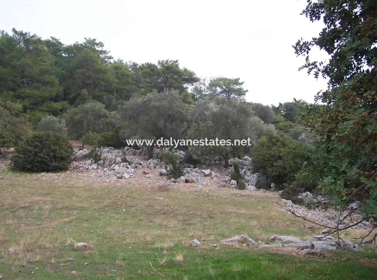 Steinhaus Zum Verkauf In Sarsalada Meerblick 4274M2 Grundstück