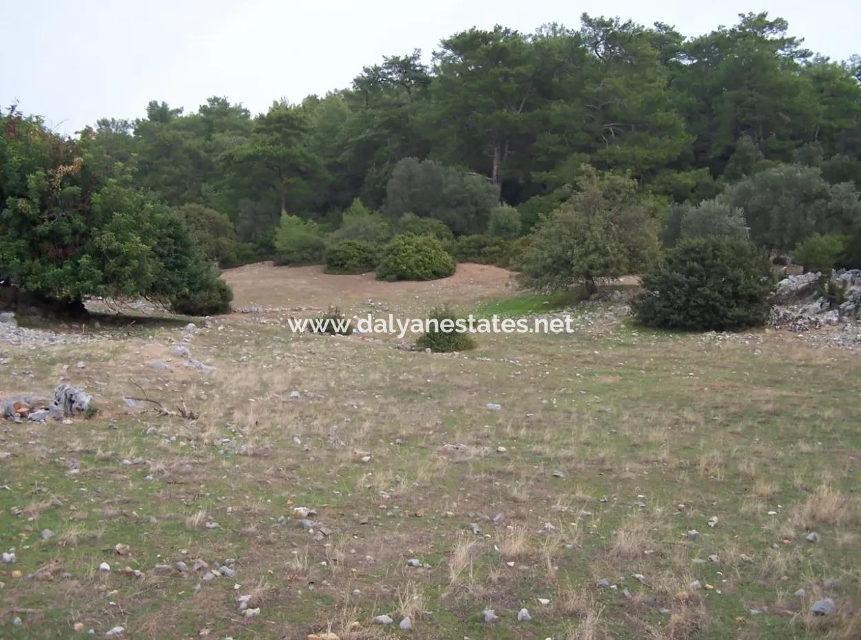 Steinhaus Zum Verkauf In Sarsalada Meerblick 4274M2 Grundstück