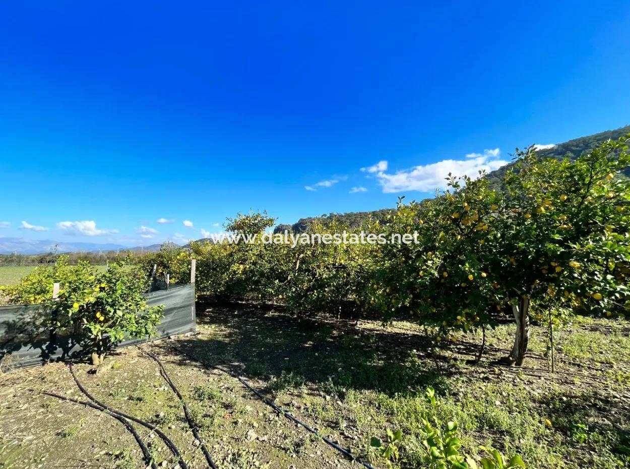 Einstöckiges Haus Zum Verkauf In 5000M2 Grundstück In Çandır