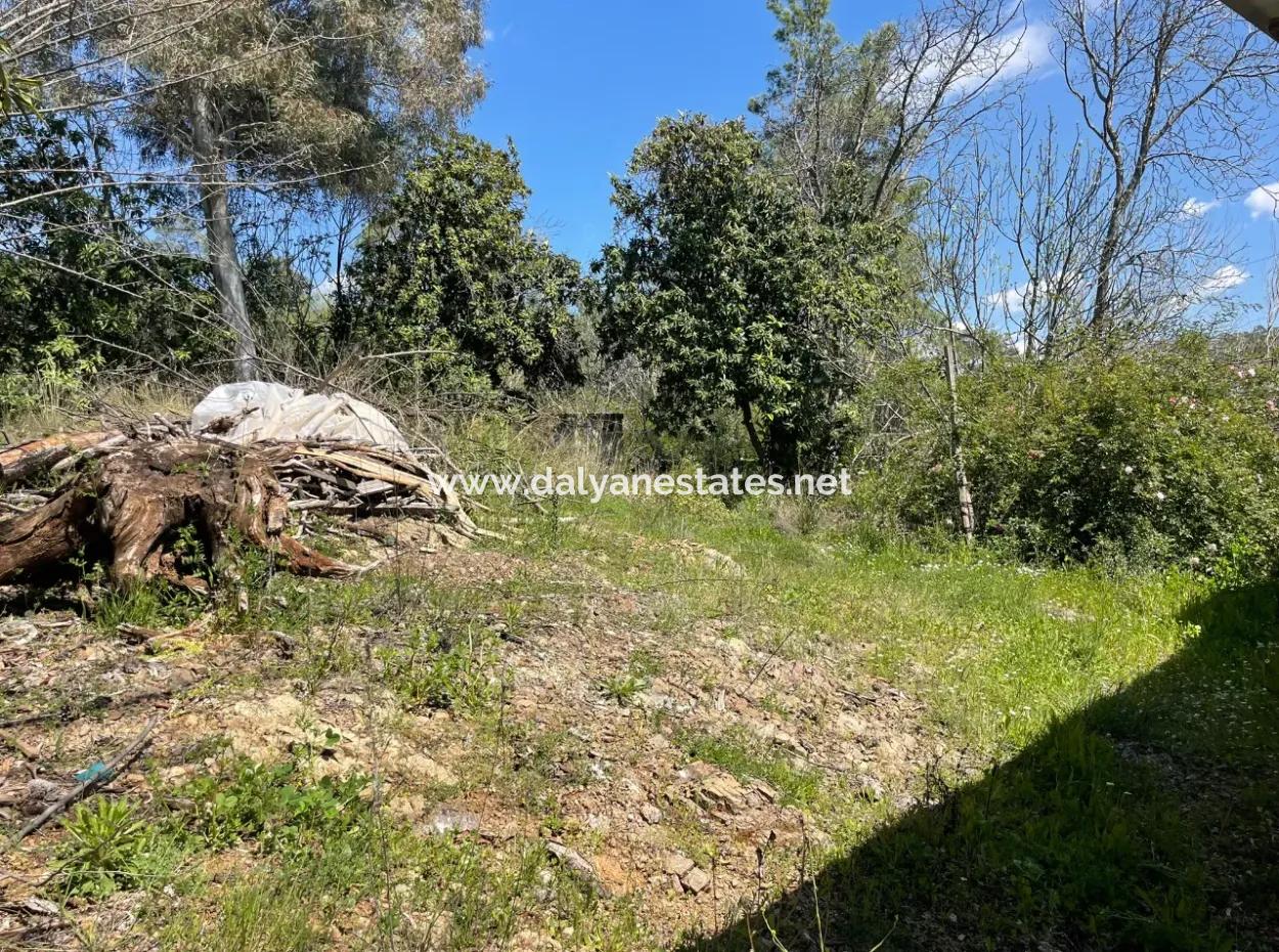 Mehrfamilienhaus Zum Verkauf In 5650M2 Feld In Zeytinalann