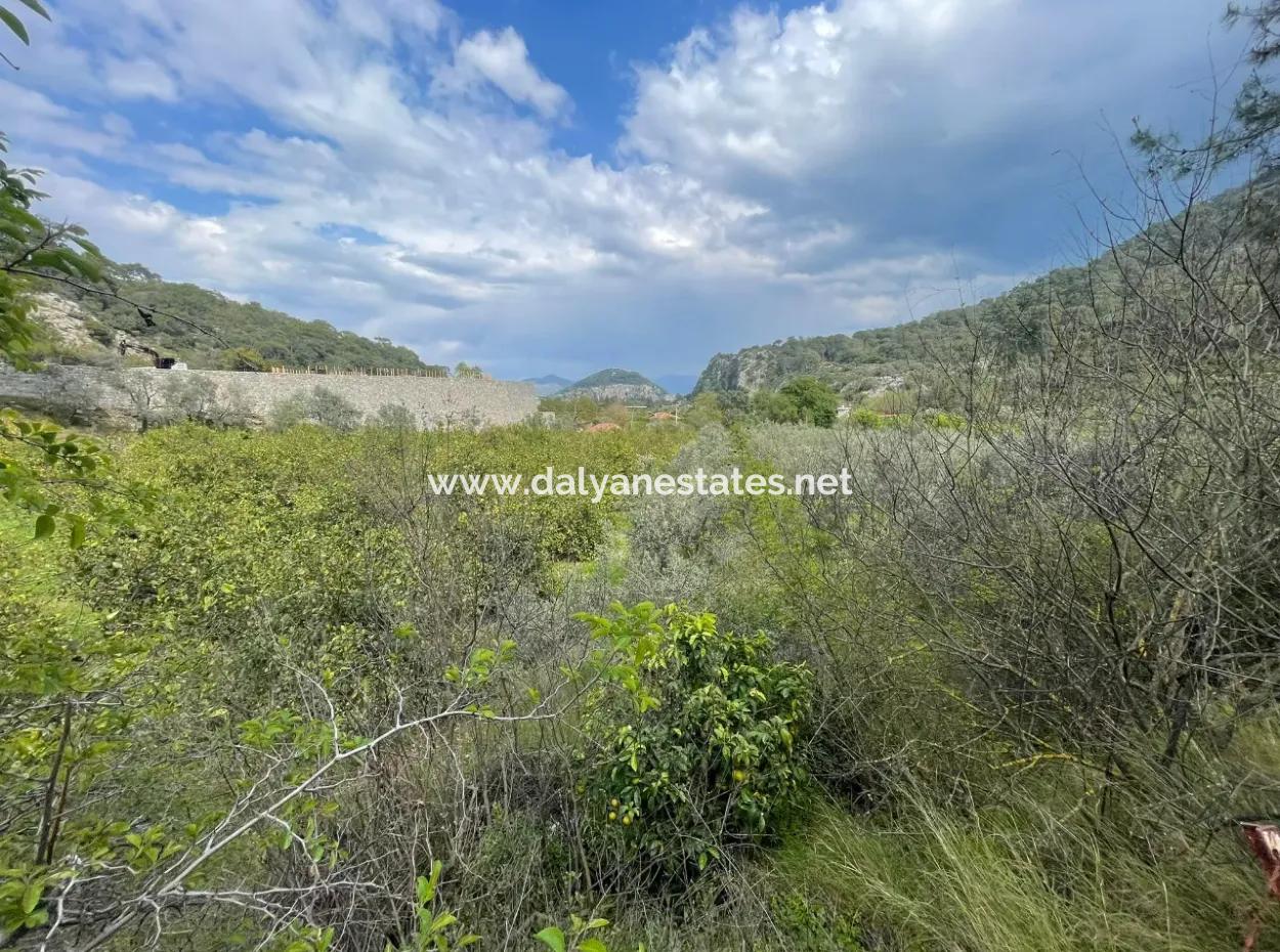 5000M2 Feld Zum Verkauf Am Anfang Der Straße In Çandır