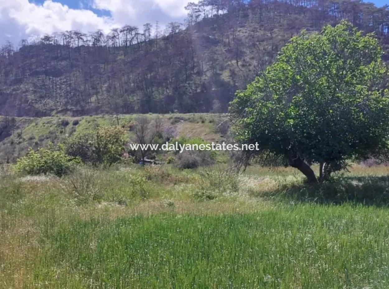 Marmaris Turgut Anlagegrundstück Zum Verkauf 29600M2 Zum Verkauf