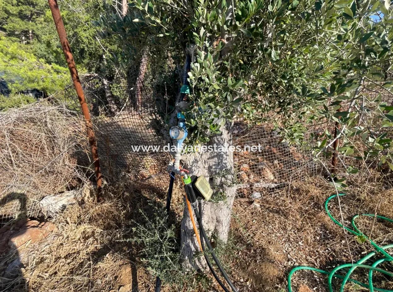 Çandır Voller Meer- Und Seeblick 500M2 2B Feld Zu Verkaufen