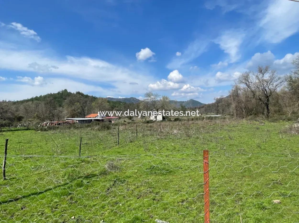 Sultaniye Büyükkaraç Mahallesin Gebraucht Kaufen Feld