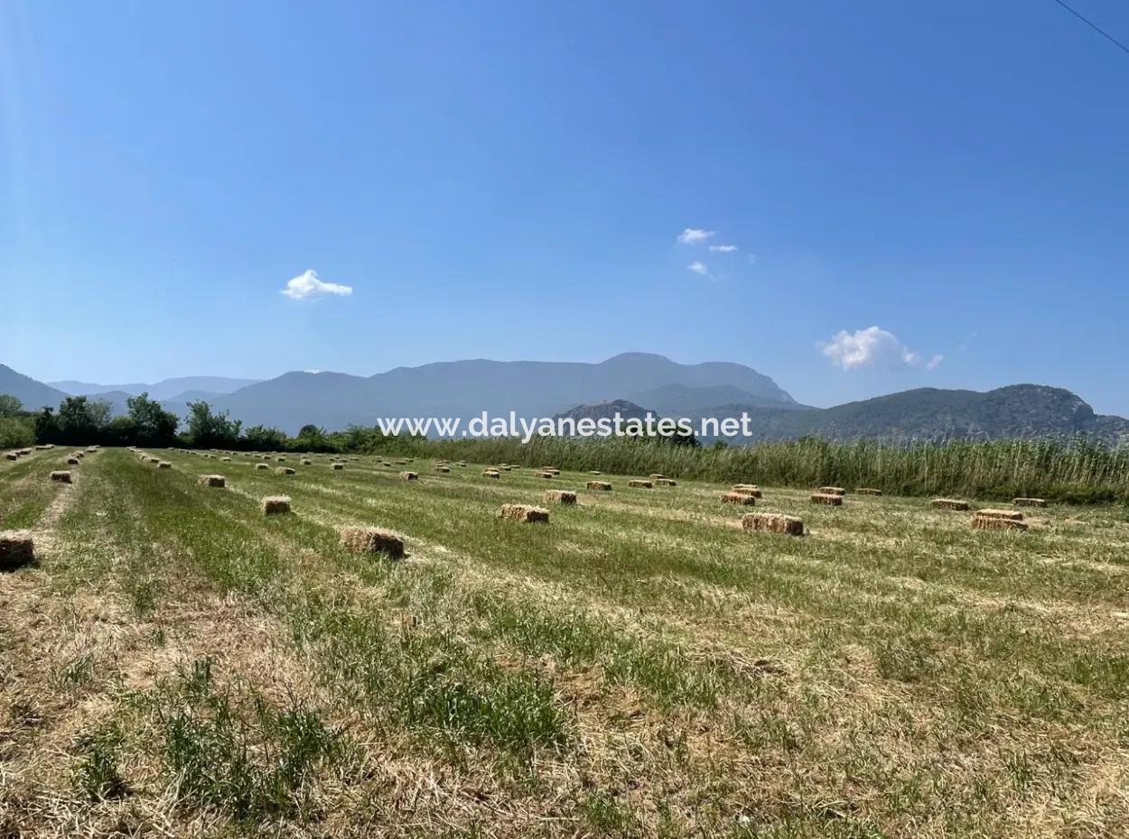 6.500 M2 Feld Zum Verkauf An Der Iztuzu-Straße In Dalyan