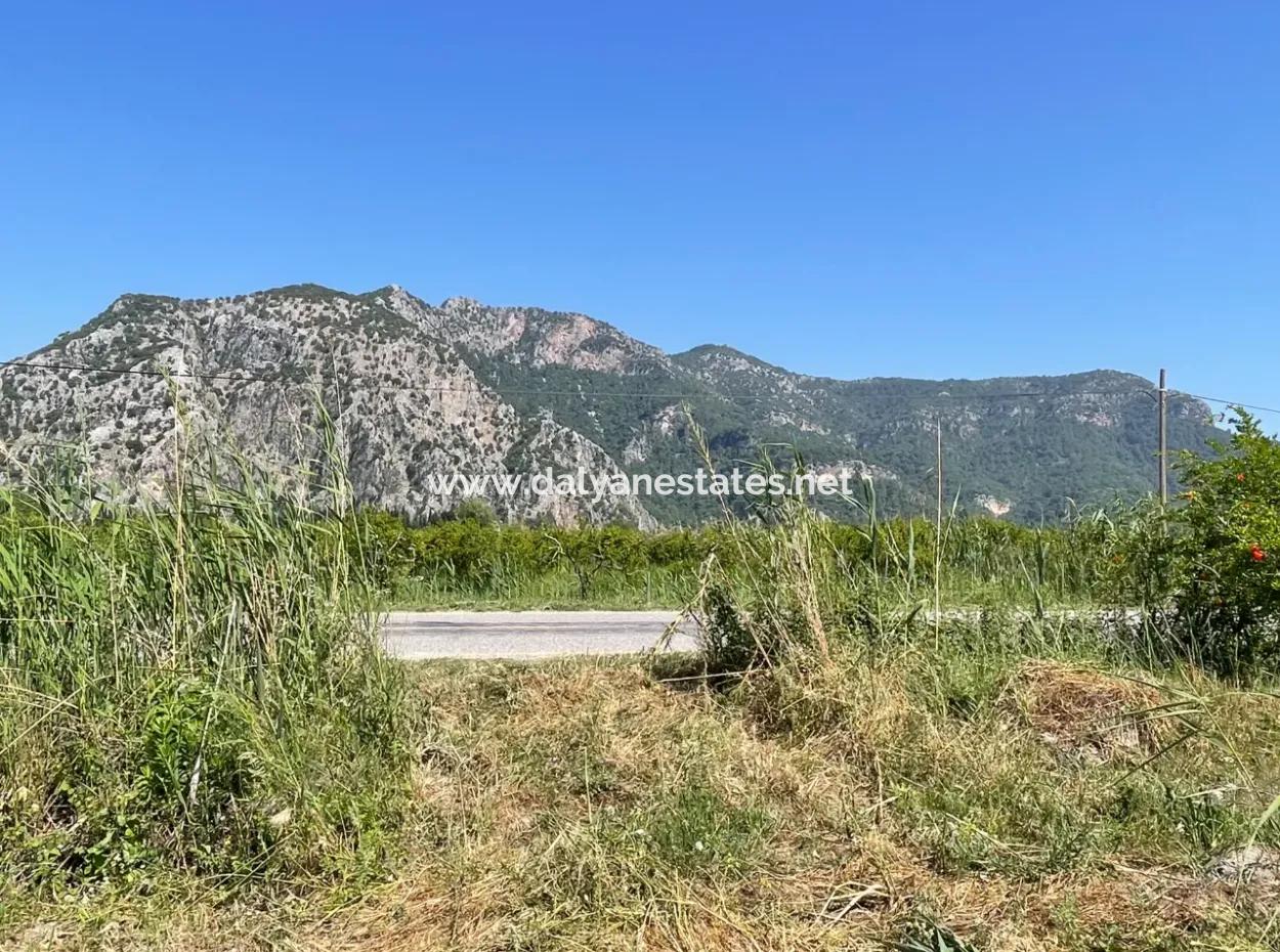6.500 M2 Feld Zum Verkauf An Der Iztuzu-Straße In Dalyan