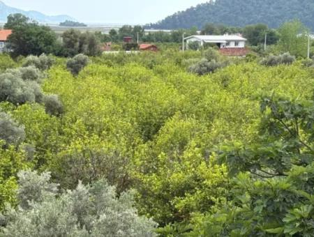 1.721M2 Grundstück Zum Verkauf Im Dorf Çandır Mit Meer- Und Seeblick