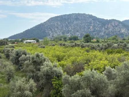 1.721M2 Grundstück Zum Verkauf Im Dorf Çandır Mit Meer- Und Seeblick